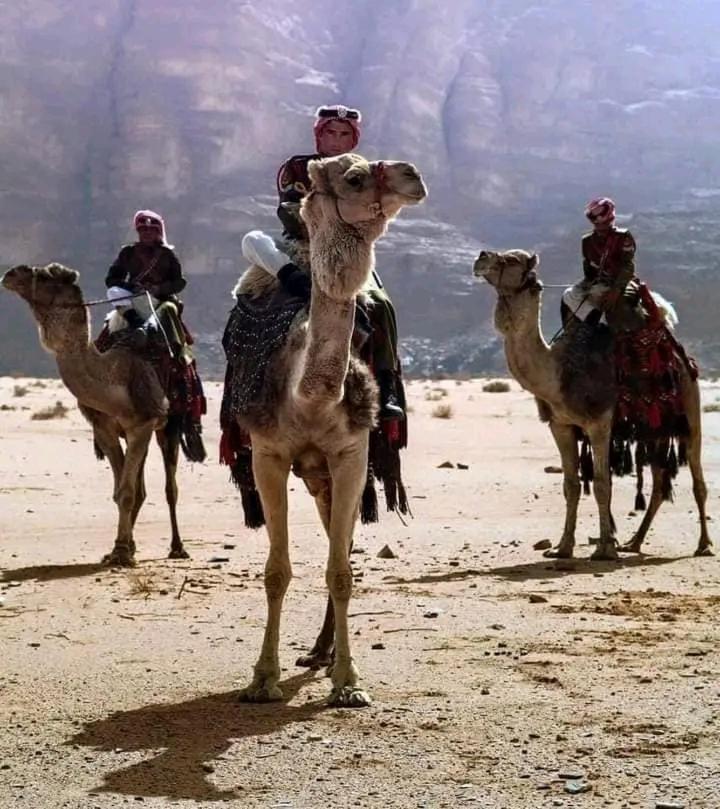 Enad Desert Camp Wadi Rum Zewnętrze zdjęcie