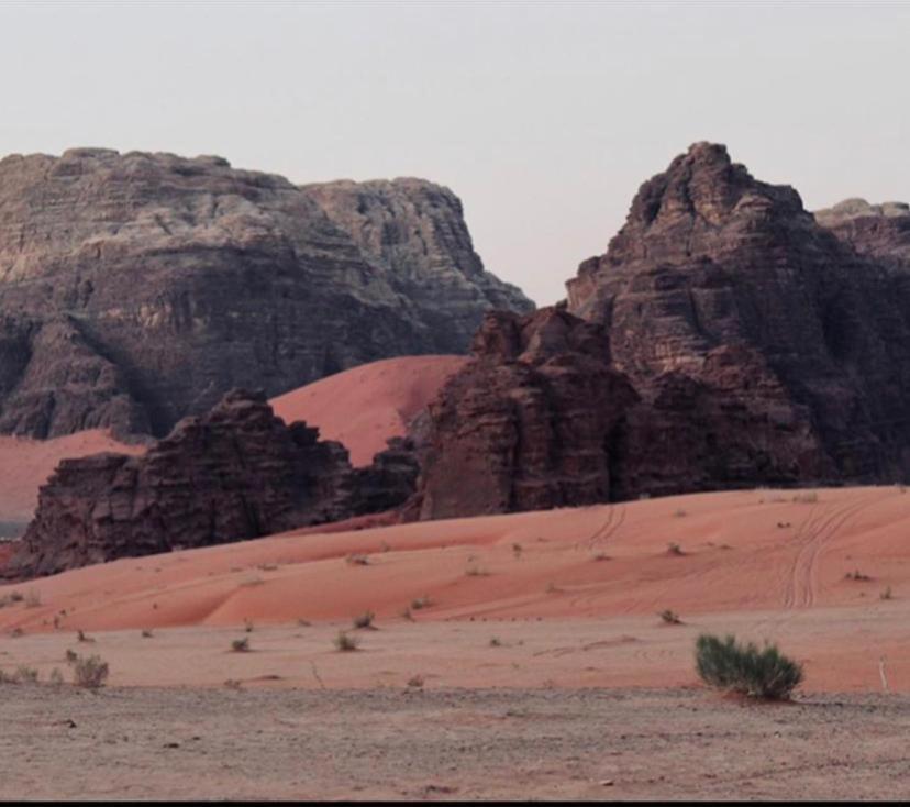 Enad Desert Camp Wadi Rum Zewnętrze zdjęcie